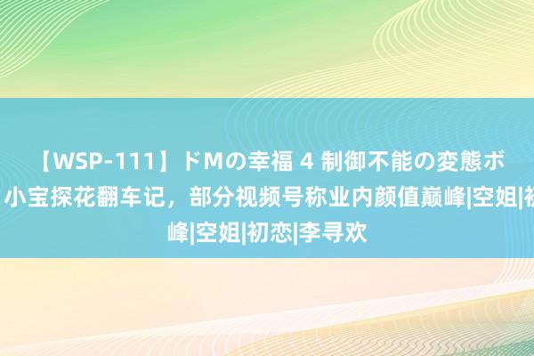 【WSP-111】ドMの幸福 4 制御不能の変態ボディ4時間 小宝探花翻车记，部分视频号称业内颜值巅峰|空姐|初恋|李寻欢
