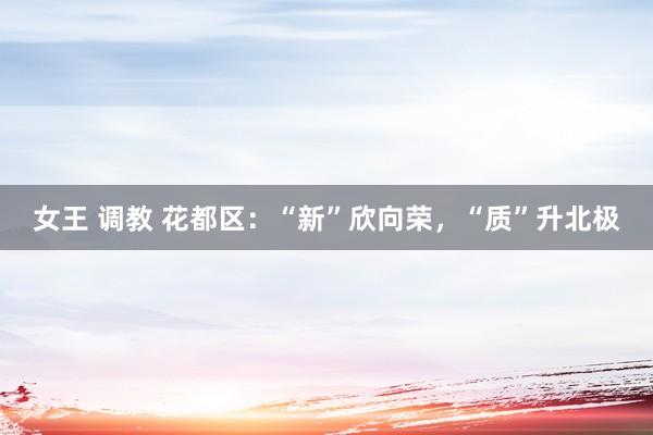 女王 调教 花都区：“新”欣向荣，“质”升北极