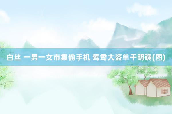 白丝 一男一女市集偷手机 鸳鸯大盗单干明确(图)