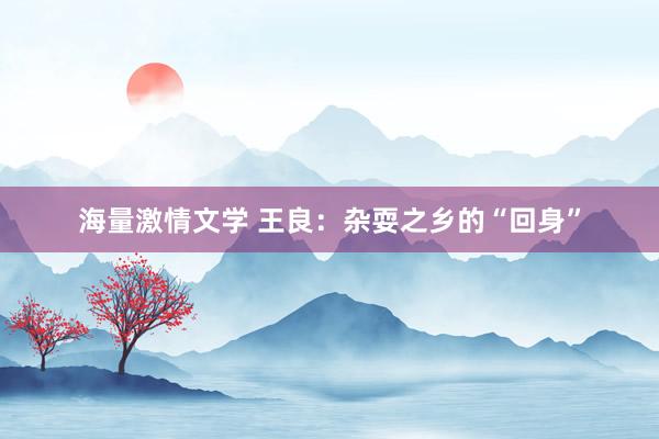 海量激情文学 王良：杂耍之乡的“回身”