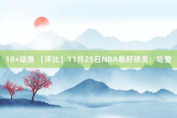 18+动漫 【评比】11月25日NBA最好球员：哈登