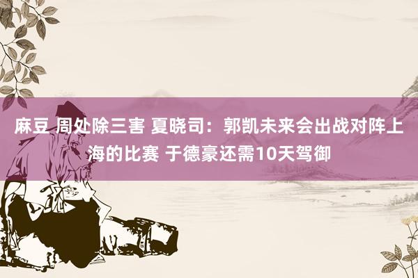 麻豆 周处除三害 夏晓司：郭凯未来会出战对阵上海的比赛 于德豪还需10天驾御