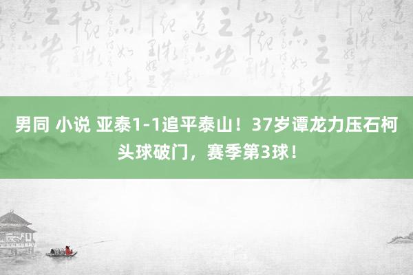 男同 小说 亚泰1-1追平泰山！37岁谭龙力压石柯头球破门，赛季第3球！